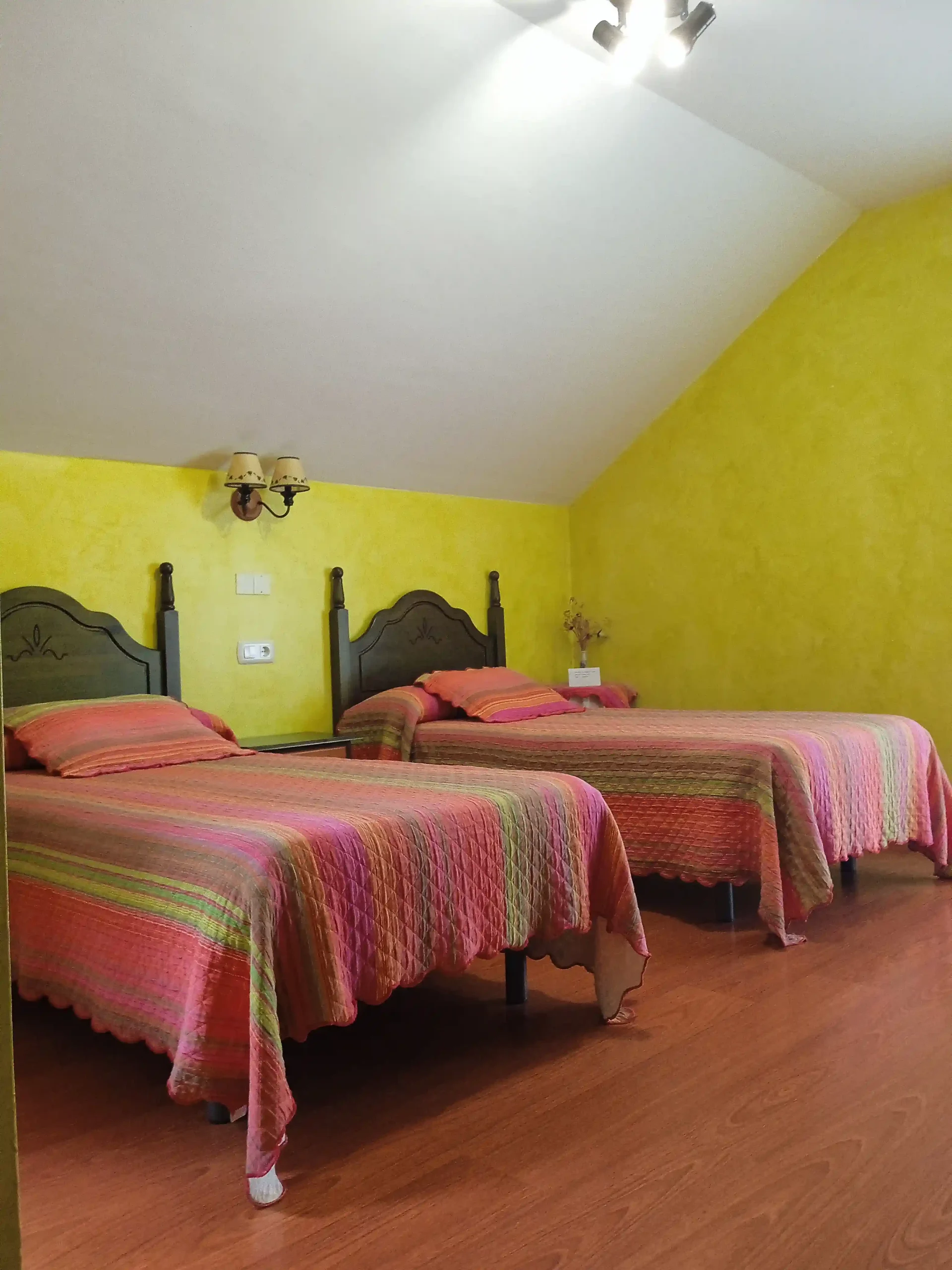 1-pando-galeria_el-aposento-de-babia