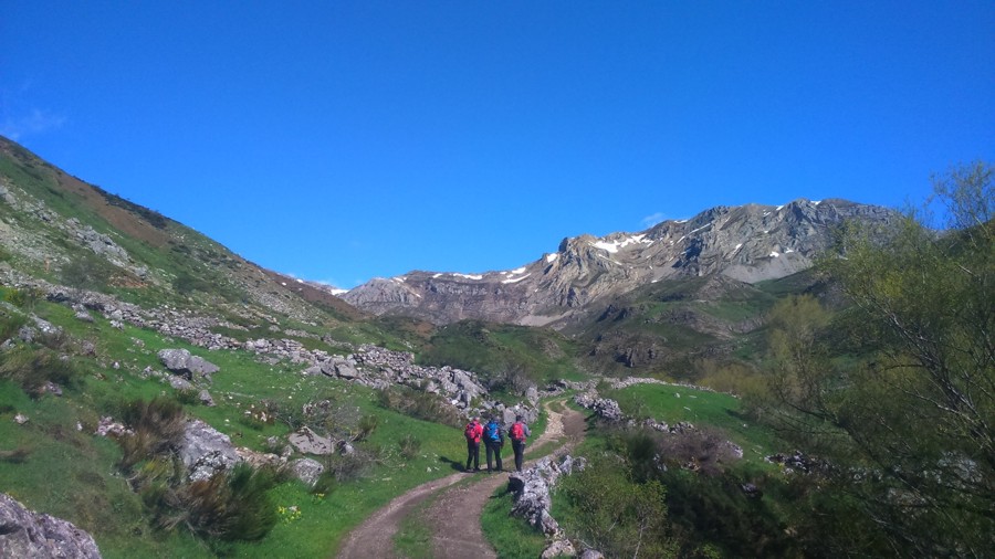 TORRE DE BABIA-LA CERVATA-COLLADO DE LA CUEÑA-TORRE