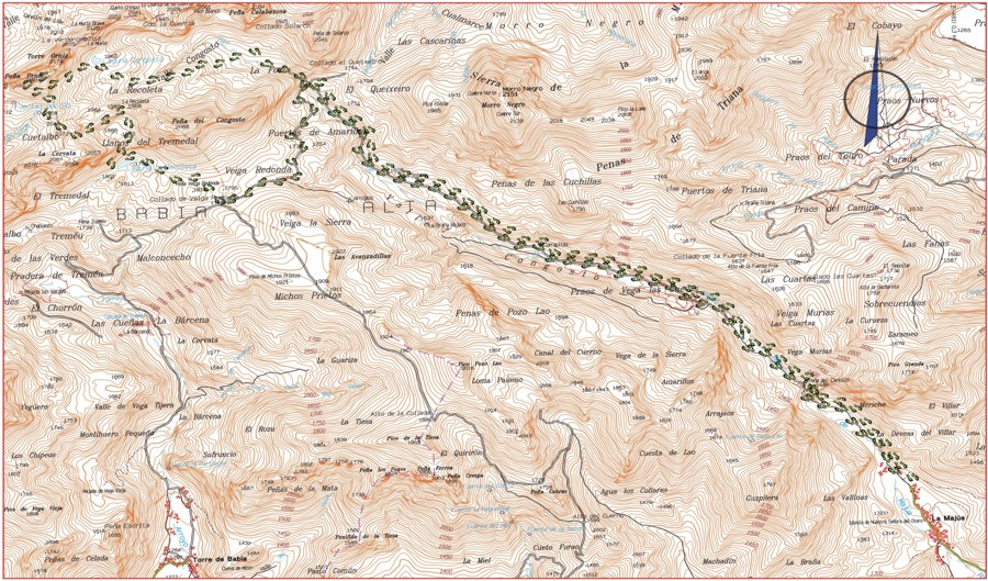 12-blog_el-aposento-de-babia_1