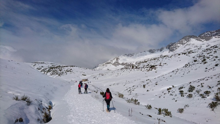 13-blog_el-aposento-de-babia_6