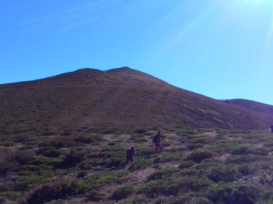 14-blog_el-aposento-de-babia_5