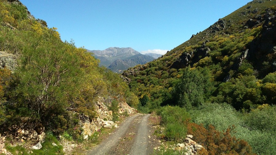 4-blog_el-aposento-de-babia_4