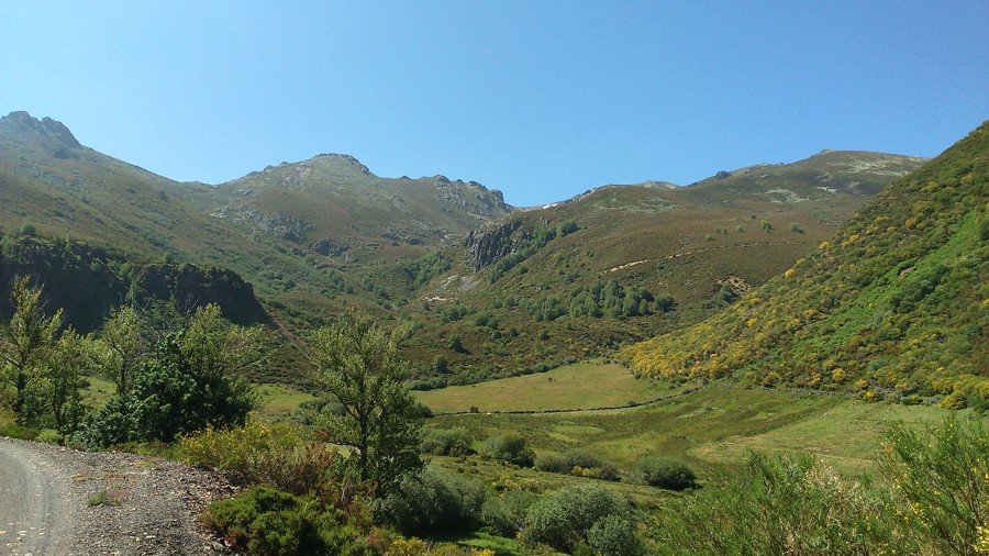 LA BRAÑA DE MENA