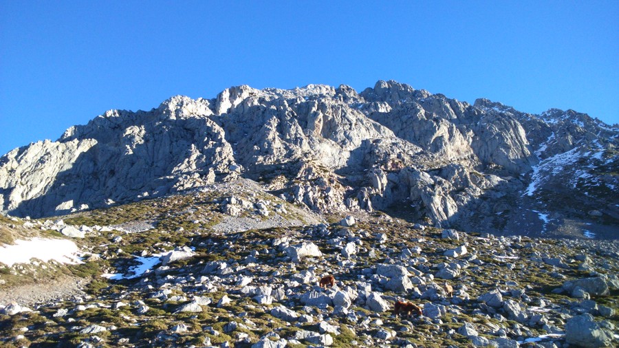 7-blog_el-aposento-de-babia_4