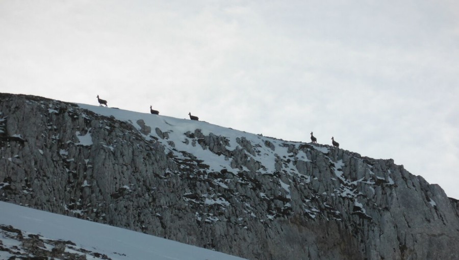 9-blog_el-aposento-de-babia_5